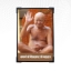 Picture of Acharya Shree Vidyasagarji Maharajsahab Frame (Size - 8 x 6 inches)