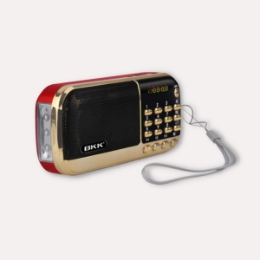 Show details for Jain Music Player Picture of Jain Music Player