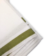 Picture of Olive Border Gents Samayik Jod