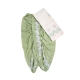 Picture of Embroidery Work Color Pooja Jod With Cream Dupatta