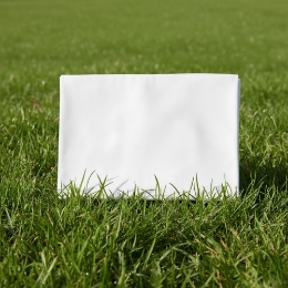 Show details for Plain Mupatti Picture of Plain Mupatti