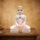 Picture of Mahavir Swami Marble Idol (Size - 11 inches)