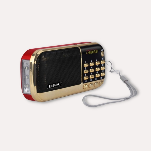 Picture of Jain Bhakti Music Player