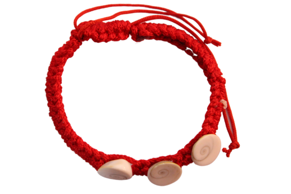 Picture of Raksha Potli With 3 Gomti Chakra