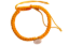 Picture of Raksha Potli With Single Gomti Chakra