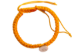 Picture of Raksha Potli With Single Gomti Chakra